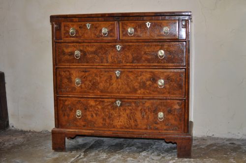 WALNUT BACHELORS CHEST - ADDITIONAL PHOTO 5
