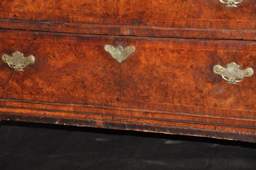 EARLY 18TH CENTURY BURR WALNUT BUREAU - ADDITIONAL PHOTO 8