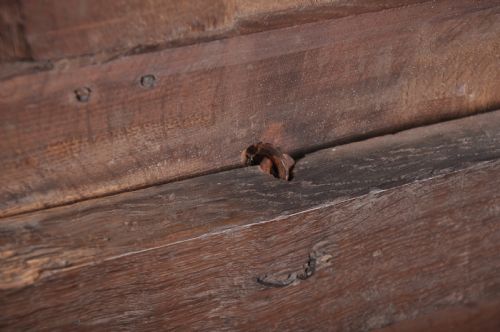 DATED 17TH CENTURY OAK COFFER - ADDITIONAL PHOTO 7