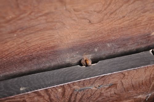 17TH CENTURY WEST COUNTRY COFFER - ADDITIONAL PHOTO 6