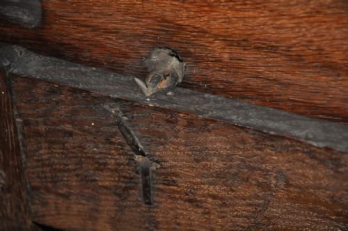 SMALL 17TH CENTURY PANELLED OAK COFFER - ADDITIONAL PHOTO 4