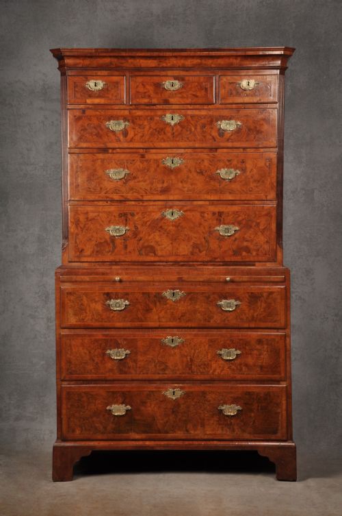 Early 18th Century Burr Walnut Tallboy