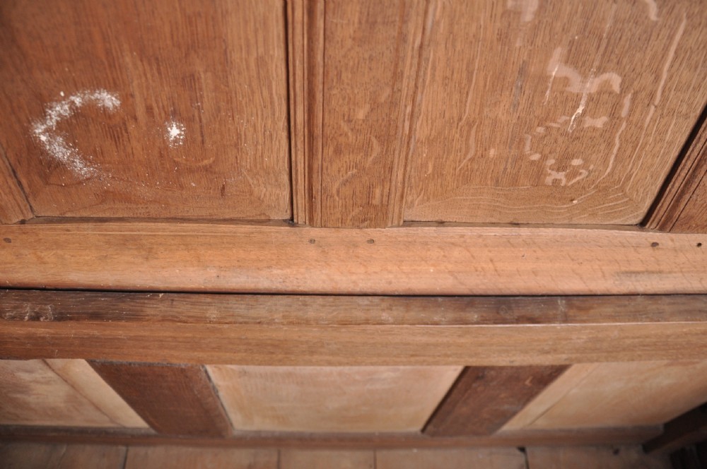 A seventeenth-century dark oak coffer featuring three carved front panels with scrolling leaf motifs, a lunette frieze, and an iron lockplate. View VIII