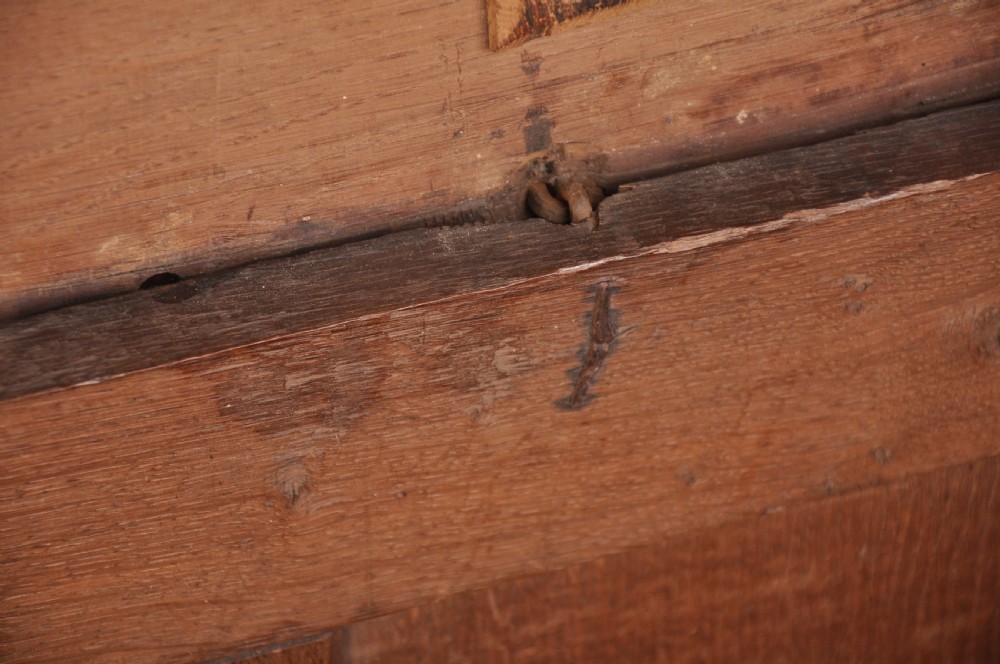 A dark brown 17th century carved oak coffer featuring three carved front panels with foliate motifs and an iron lock plate. View VI