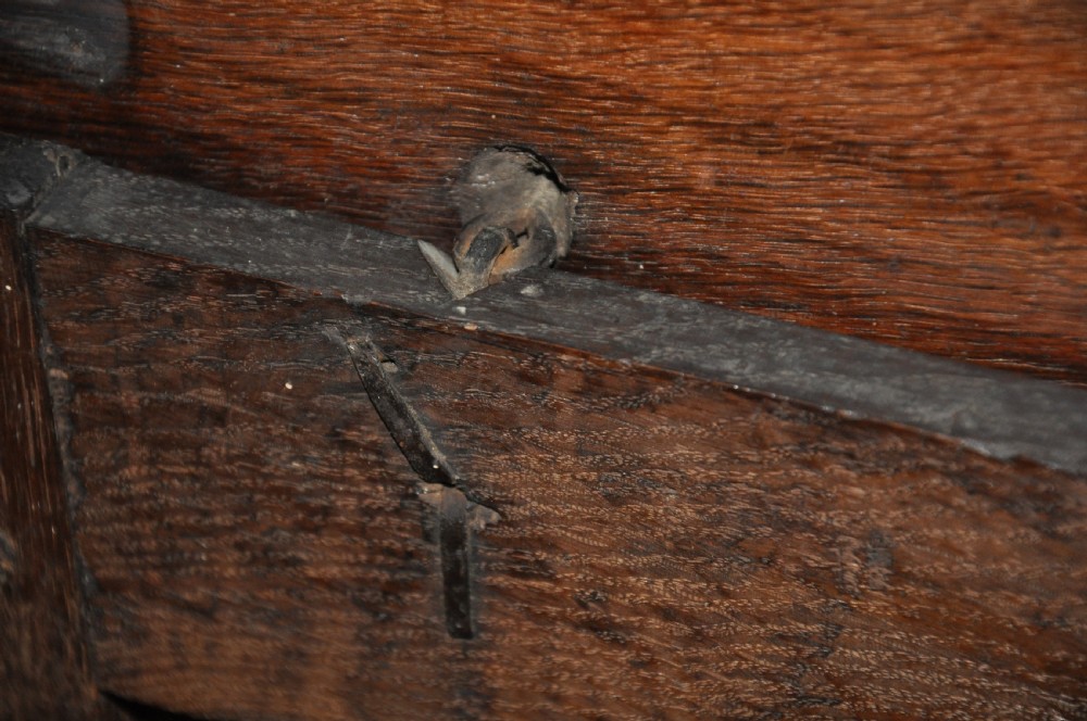 Small 17th Century Panelled Oak Coffer View V