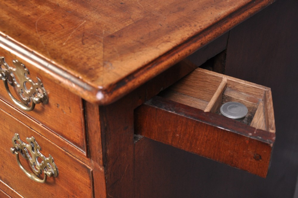  18th Century Mahogany Kneehole Dressing Chest View IV