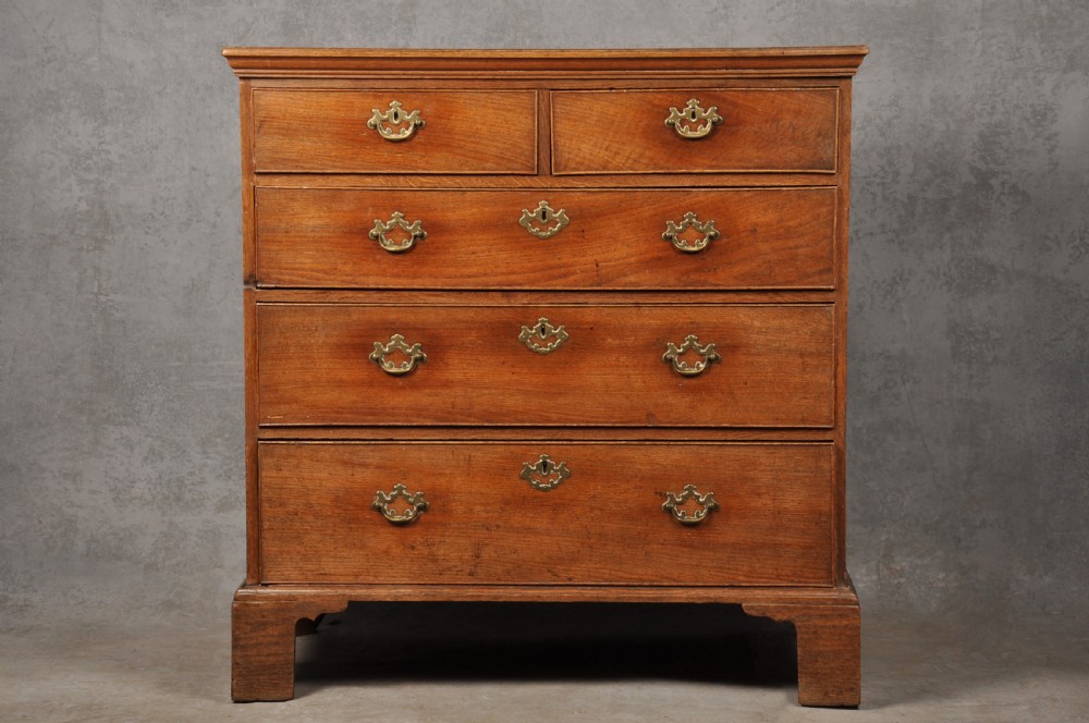An 18th-century Georgian oak chest of drawers featuring two short drawers over three long drawers with brass drop handles and bracket feet.