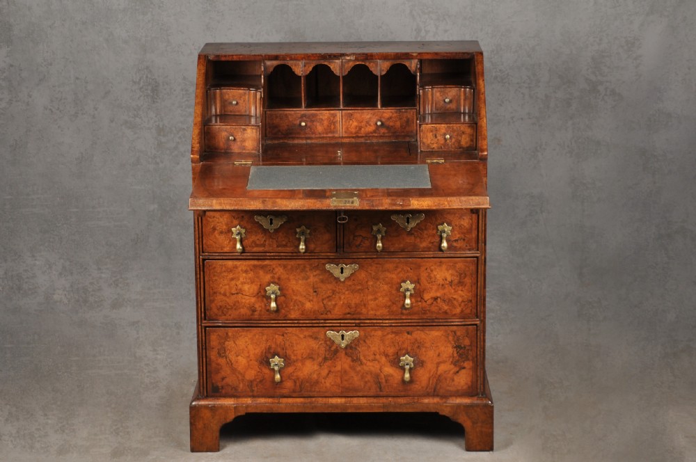 An early eighteenth-century burr walnut bureau featuring a sloped fall-front writing flap above four graduated drawers with brass drop handles and bracket feet. View II