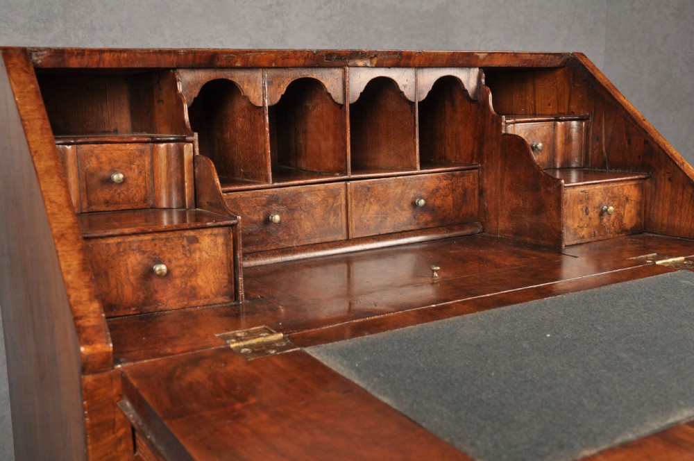 An early eighteenth-century burr walnut bureau featuring a sloped fall-front writing flap above four graduated drawers with brass drop handles and bracket feet. View V