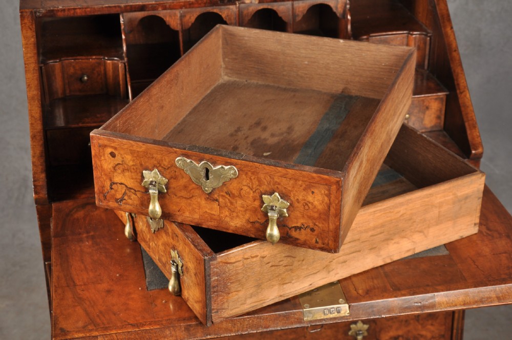 An early eighteenth-century burr walnut bureau featuring a sloped fall-front writing flap above four graduated drawers with brass drop handles and bracket feet. View VIII