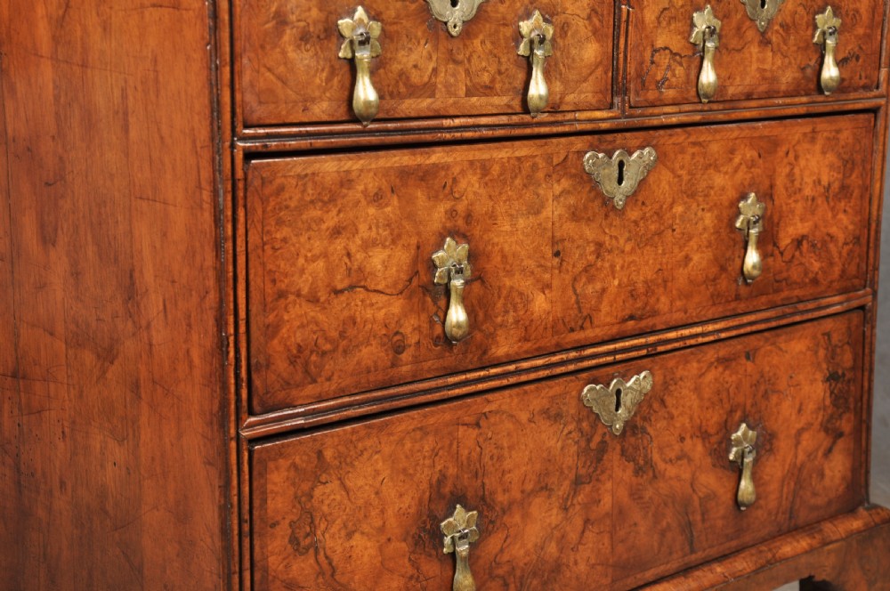 An early eighteenth-century burr walnut bureau featuring a sloped fall-front writing flap above four graduated drawers with brass drop handles and bracket feet. View X