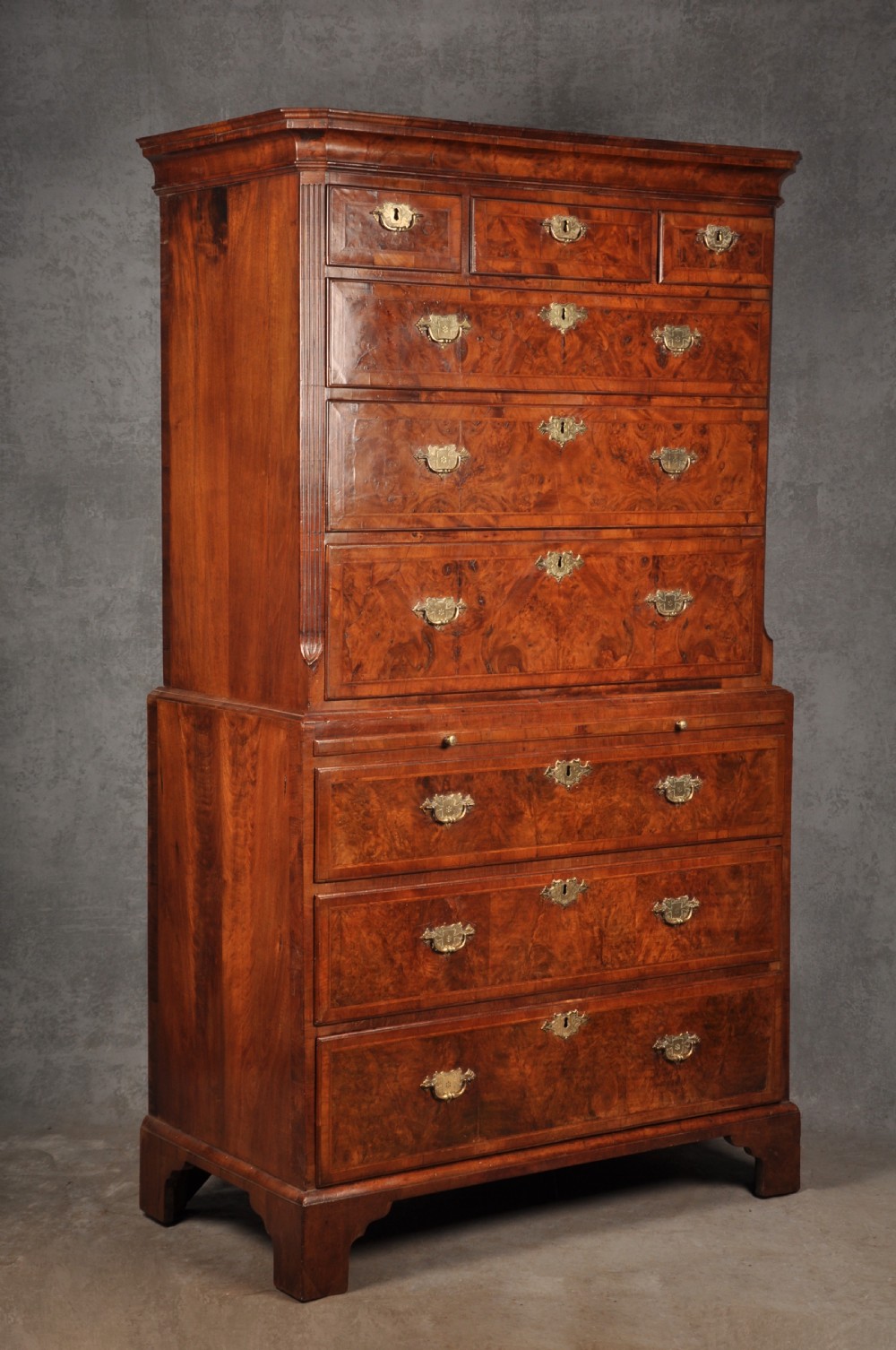 Early 18th Century Burr Walnut Tallboy View II
