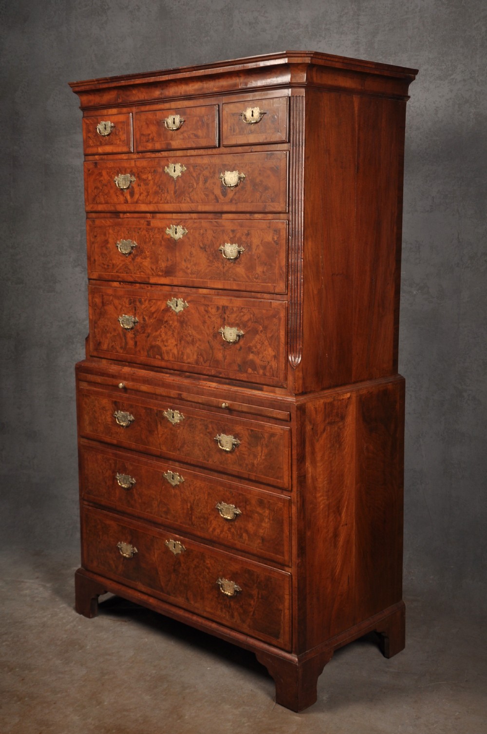 Early 18th Century Burr Walnut Tallboy View III