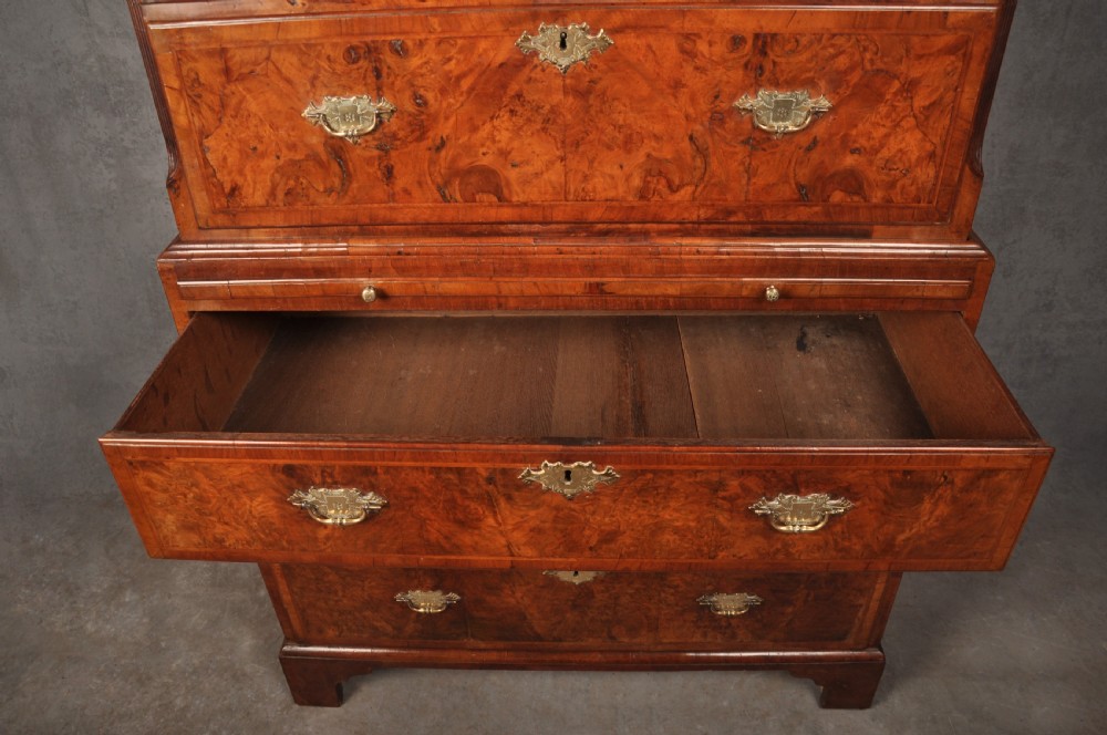 Early 18th Century Burr Walnut Tallboy View IV
