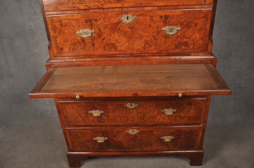 Early 18th Century Burr Walnut Tallboy View VI