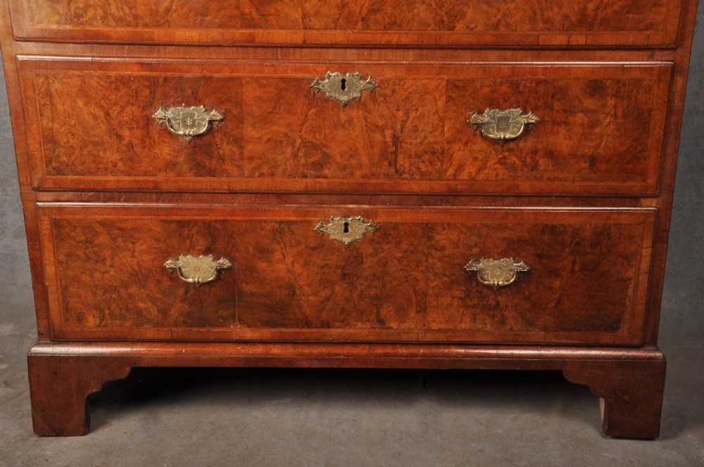 Early 18th Century Burr Walnut Tallboy View IX