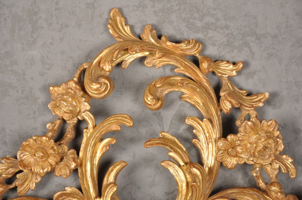 Early 19th Century Gilt-wood Rococo Mirror  View II