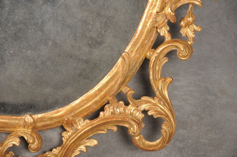 Early 19th Century Gilt-wood Rococo Mirror  View VI