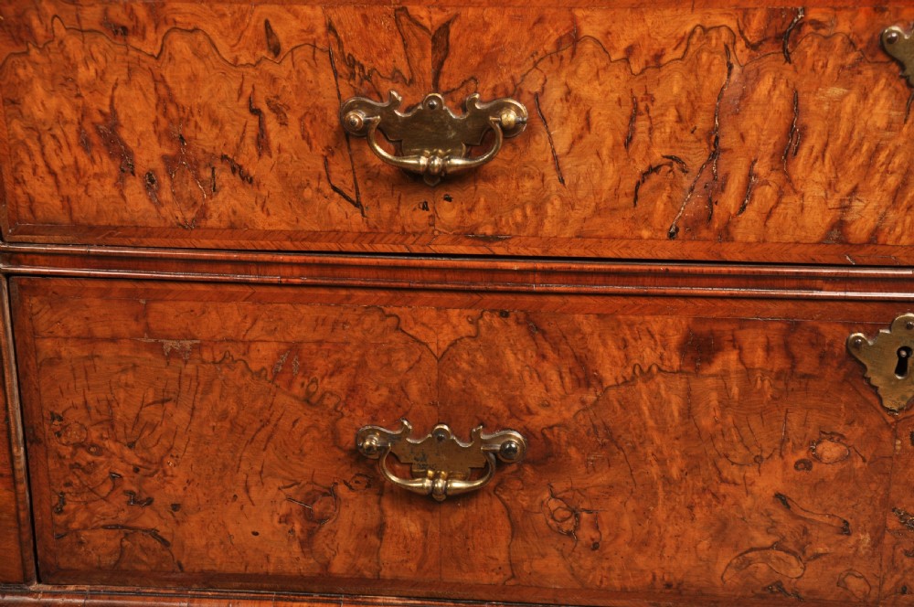 An early eighteenth-century burr walnut secretaire cabinet featuring double upper doors and a lower chest of drawers with brass handles. View XV