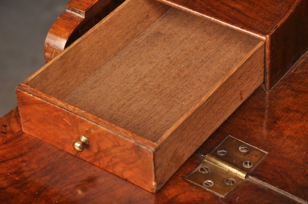 An early eighteenth-century burr walnut secretaire cabinet featuring double upper doors and a lower chest of drawers with brass handles. View XIX