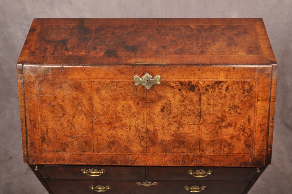An early 18th-century burr walnut slant-front bureau featuring brass drop handles, keyhole escutcheons, and a chest of drawers base. View XII