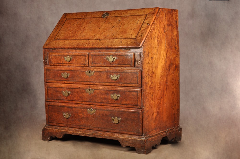 An early 18th-century burr elm slant-front writing bureau featuring figured wood grain, brass drop handles, and bracket feet.