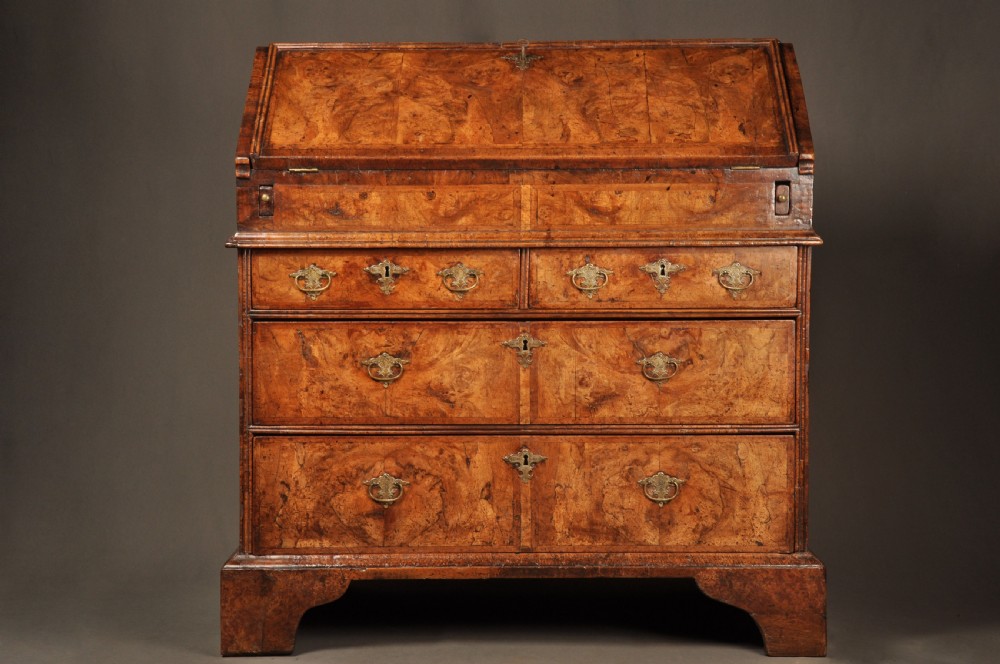 An eighteenth-century Queen Anne burr walnut bureau with a sloping fall-front lid above drawers featuring brass drop handles, resting on bracket feet.
