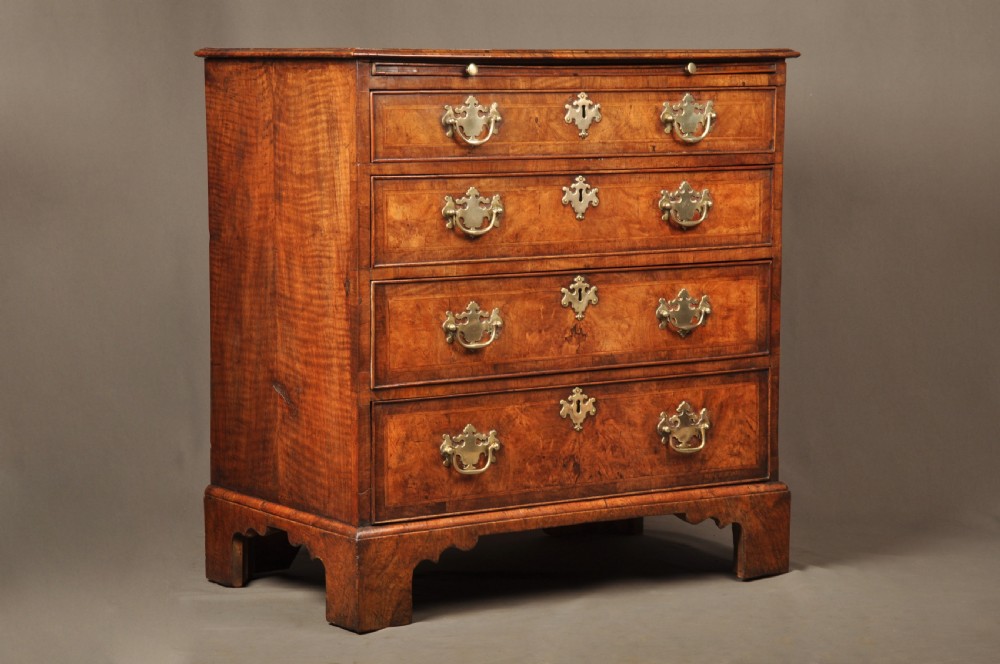 An early George II burr walnut chest of drawers featuring four graduated drawers with brass handles, a brushing slide, featherbanding, and bracket feet. View II