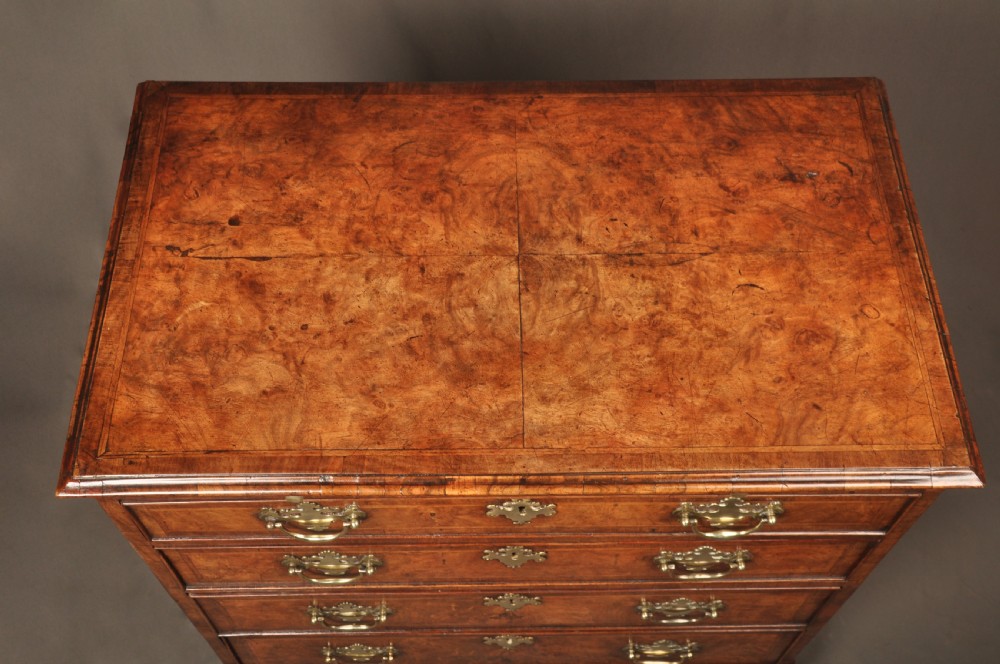 An early George II burr walnut chest of drawers featuring four graduated drawers with brass handles, a brushing slide, featherbanding, and bracket feet. View III