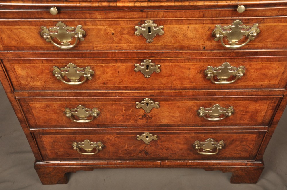 An early George II burr walnut chest of drawers featuring four graduated drawers with brass handles, a brushing slide, featherbanding, and bracket feet. View V