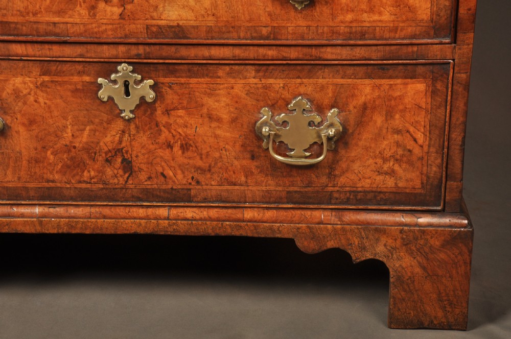An early George II burr walnut chest of drawers featuring four graduated drawers with brass handles, a brushing slide, featherbanding, and bracket feet. View VI