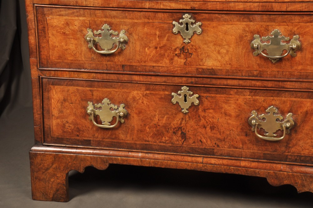 An early George II burr walnut chest of drawers featuring four graduated drawers with brass handles, a brushing slide, featherbanding, and bracket feet. View VII