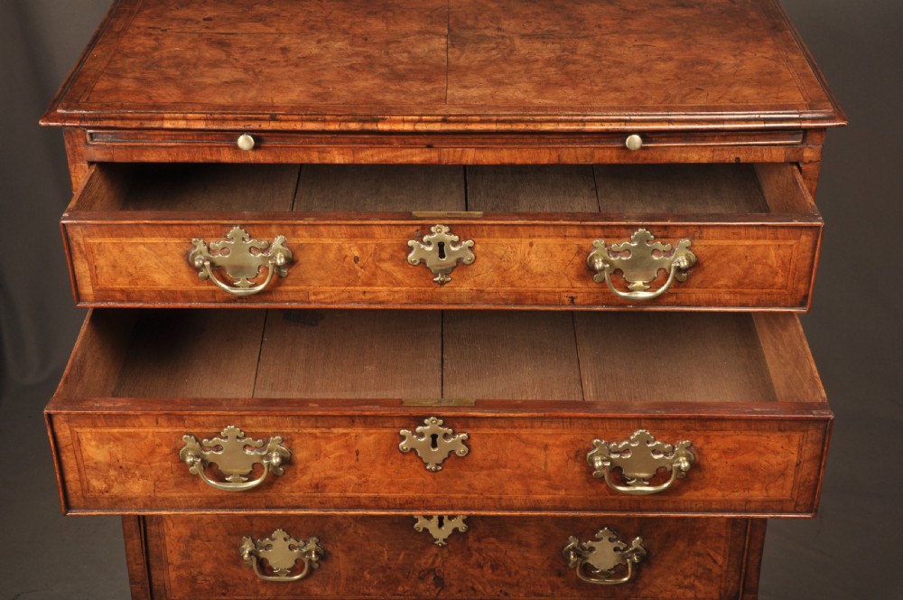 An early George II burr walnut chest of drawers featuring four graduated drawers with brass handles, a brushing slide, featherbanding, and bracket feet. View X