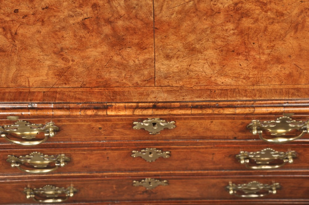 An early George II burr walnut chest of drawers featuring four graduated drawers with brass handles, a brushing slide, featherbanding, and bracket feet. View XII