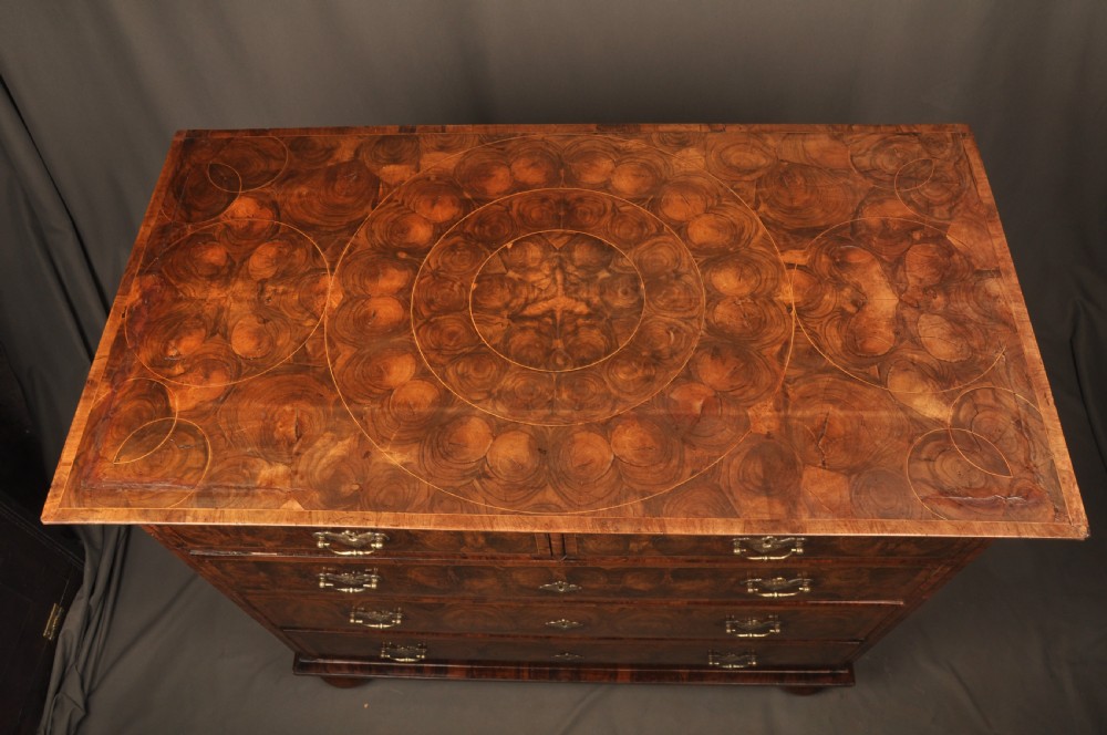 A seventeenth-century olive oyster veneered chest of drawers featuring two short drawers above three long drawers, brass drop handles, and turned bun feet. View VI