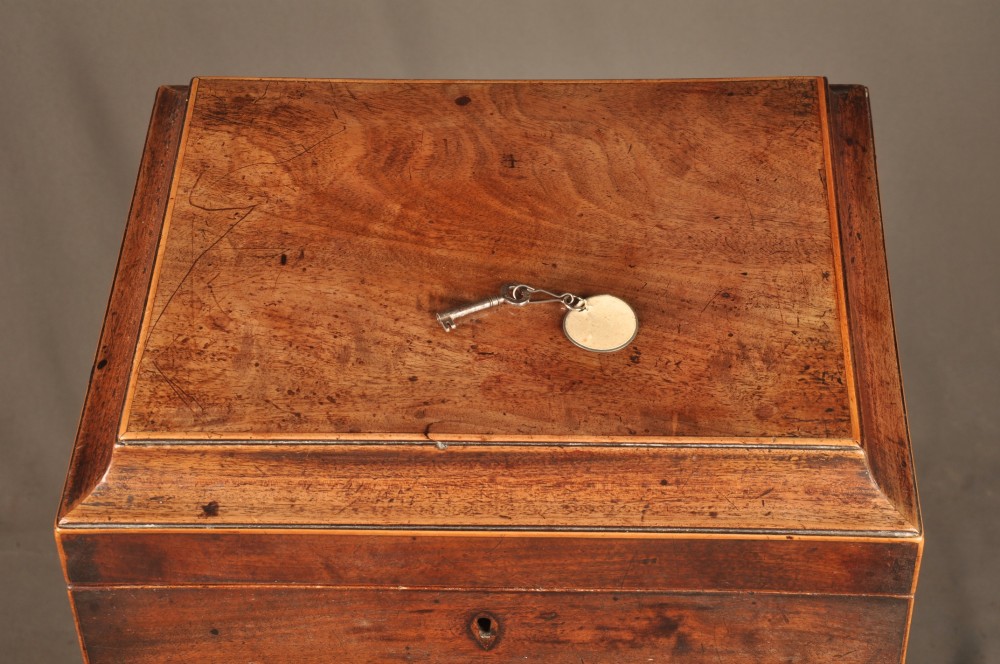 A Sheraton style mahogany cellarette featuring a hinged sarcophagus top, brass side handles, and square tapered legs on brass castors. View III