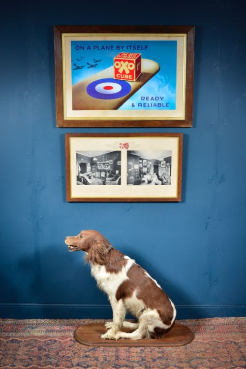 VINTAGE OXO POSTER ON A PLANE BY ITSELF READY RELIABLE OAK FRAME MID 20TH CENTURY - ADDITIONAL PHOTO 4