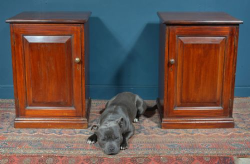 A PAIR OF VICTORIAN MAHOGANY BEDSIDE CABINETS C1850 - ADDITIONAL PHOTO 1