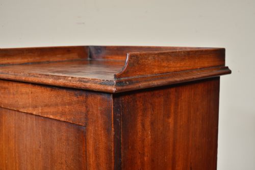 A WILLIAM IV MAHOGANY BEDSIDE CUPBOARD C1835 - ADDITIONAL PHOTO 8