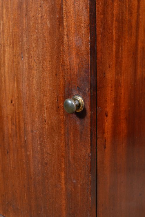 A WILLIAM IV MAHOGANY BEDSIDE CUPBOARD C1835 - ADDITIONAL PHOTO 9
