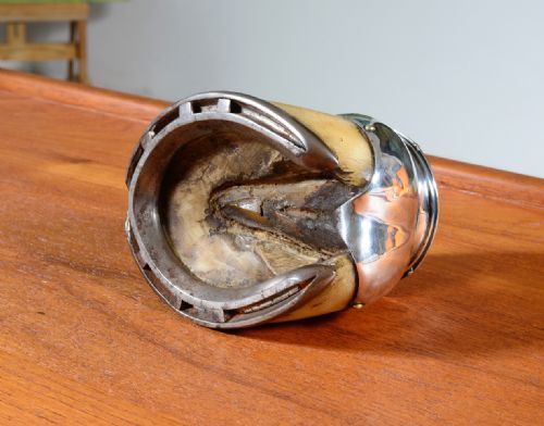 A HORSE HOOF INKWELL WITH SILVER PLATED MOUNTS C1890 - ADDITIONAL PHOTO 6