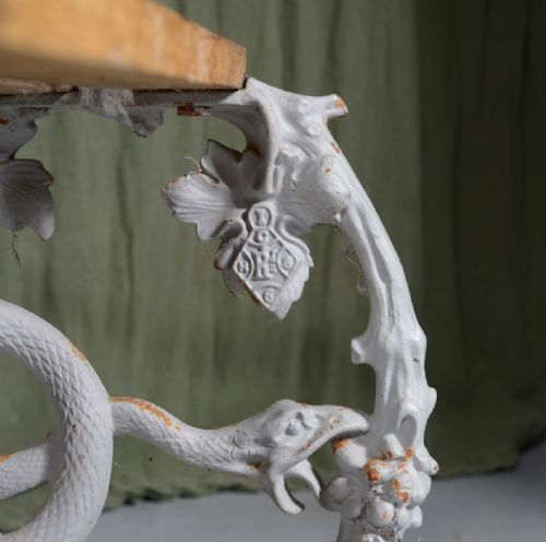 A COALBROOKDALE CAST IRON 'GRAPE AND SERPENT' PATTERN BENCH C1840 - ADDITIONAL PHOTO 5