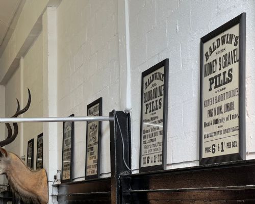 A SET OF SIX ORIGINAL VICTORIAN 'BALDWIN'S PILLS' VINTAGE FRAMED POSTERS C1895 - ADDITIONAL PHOTO 8