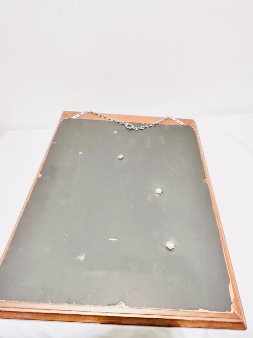 UNUSUAL MOUNTED HORSE NECK HEAD AND REINS WITHIN A FRAME C1940 - ADDITIONAL PHOTO 3