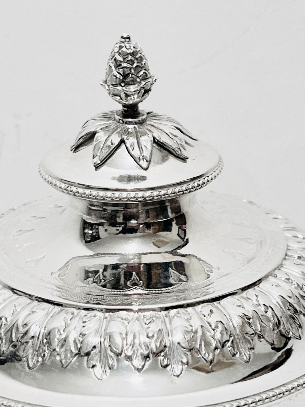 Handsome silver plated biscuit box by Martin Hall & Co c1880 View V