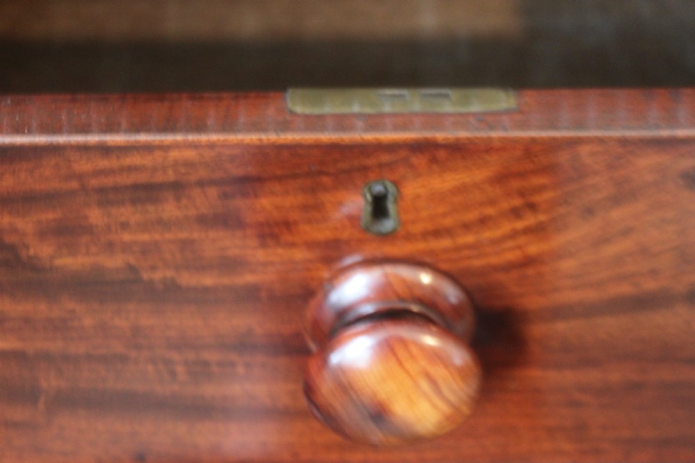 A George IV period mahogany chest of drawers View VI