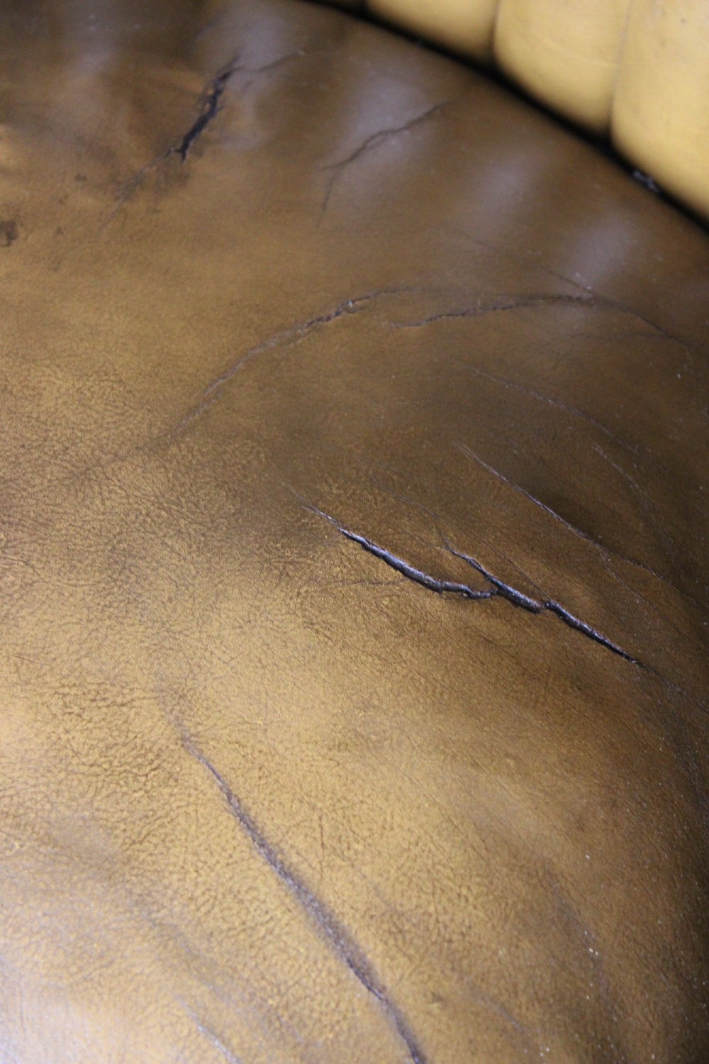 Leather barrel back armchair 19th century View VII