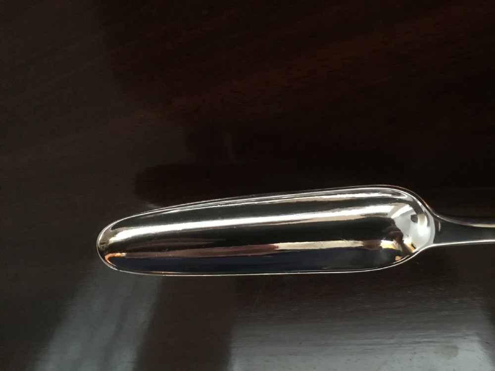 An antique Georgian double-ended sterling silver marrow scoop featuring two distinct sizes of elongated channel troughs. View III