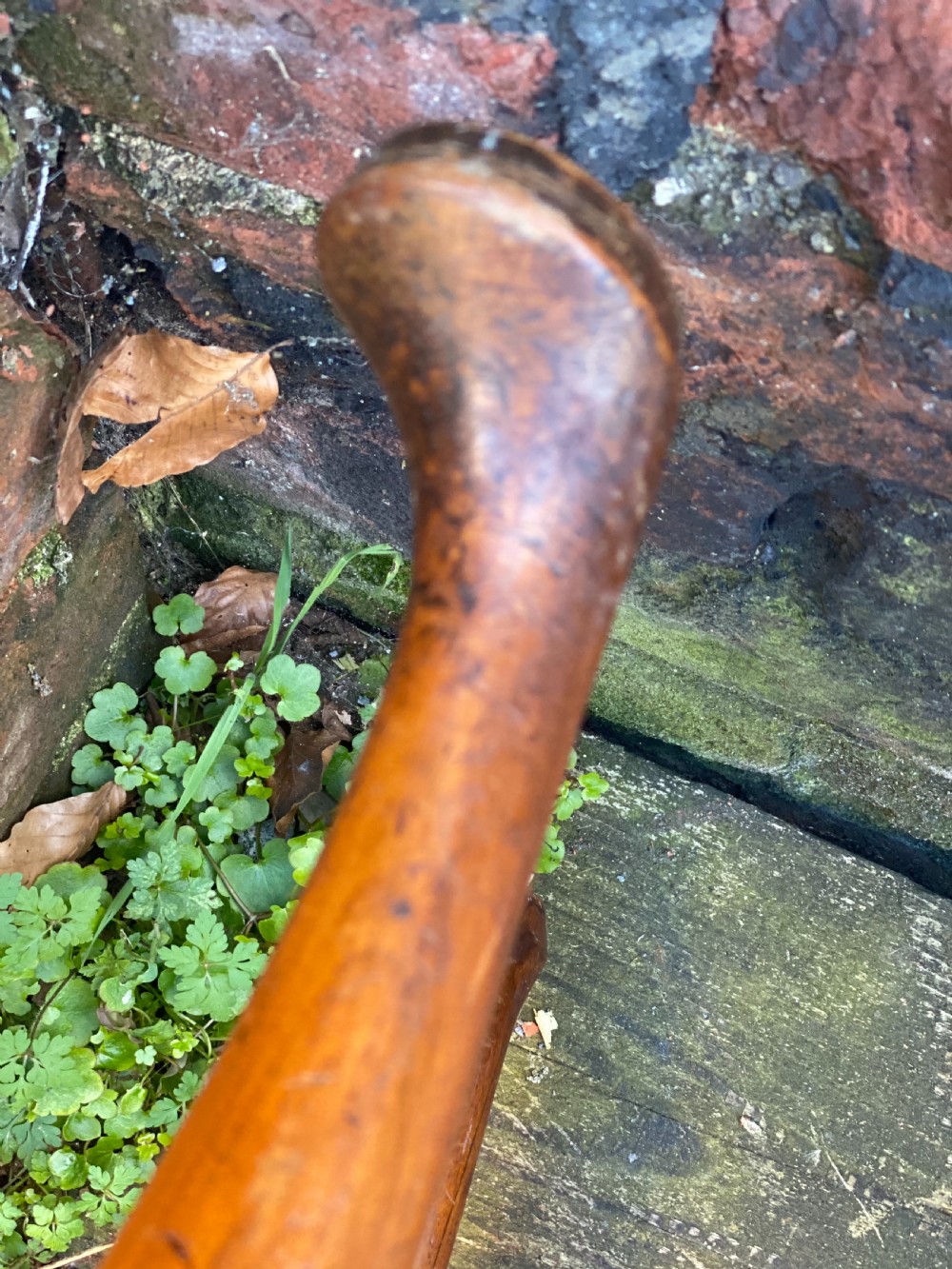 George I walnut oval stool View II