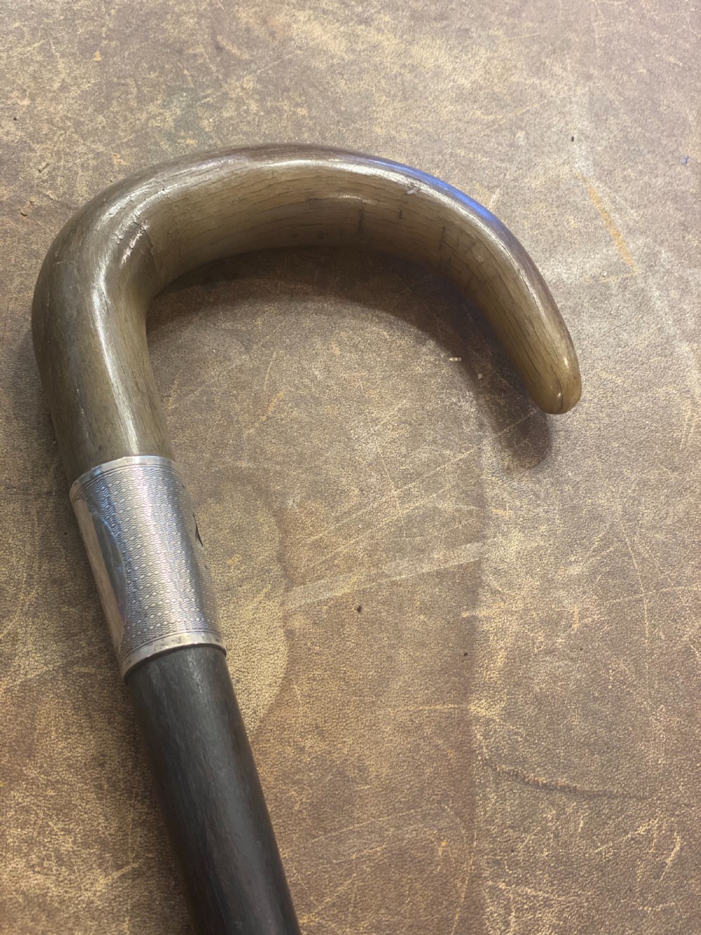 Edwardian horn topped silver collared walking stick